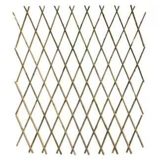 60 in. H Expandable Bamboo Trellis