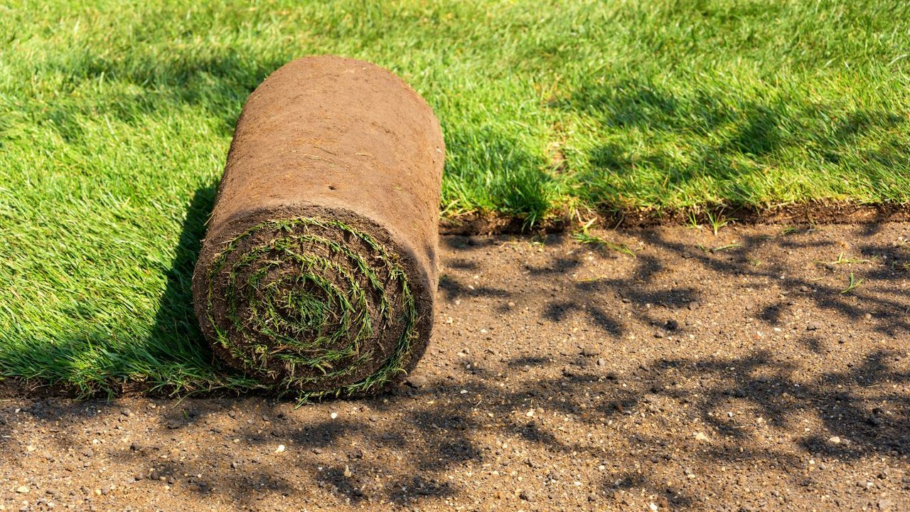 A roll of turf being laid out to lay a new lawn