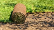 A roll of turf being laid out to lay a new lawn