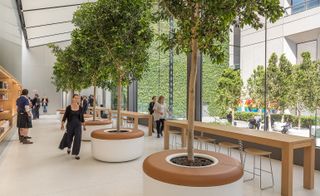 View of the ‘Genius Grove’ at Apple's San Francisco store featuring light coloured flooring, floor-to-ceiling windows, long wooden tables, stools, trees in round planters and a large stainless steel central structure with shelving. There are multiple people in the store