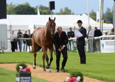 Michael Jung (GER) with LA BIOSTHETIQUE - SAM FBW, 