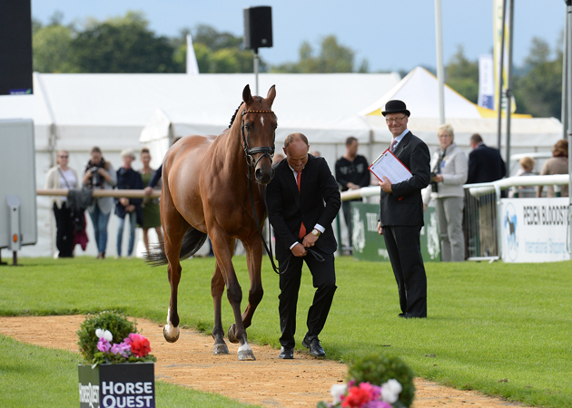 Michael Jung (GER) with LA BIOSTHETIQUE - SAM FBW, 