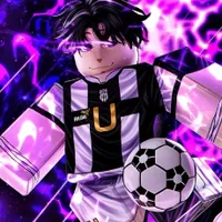 Roblox codesDress to Impress codesBlue Lock Rivals codesBlox Fruits codesFisch codesArise Crossover codes