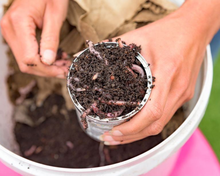 How to use a wormery for compost guide to worm compost bins Homes
