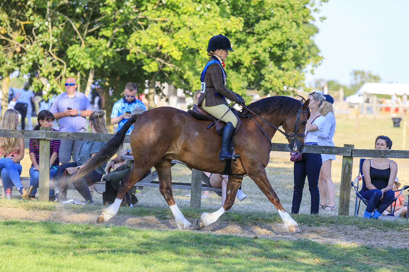 Amateur Hunter Supreme Friday