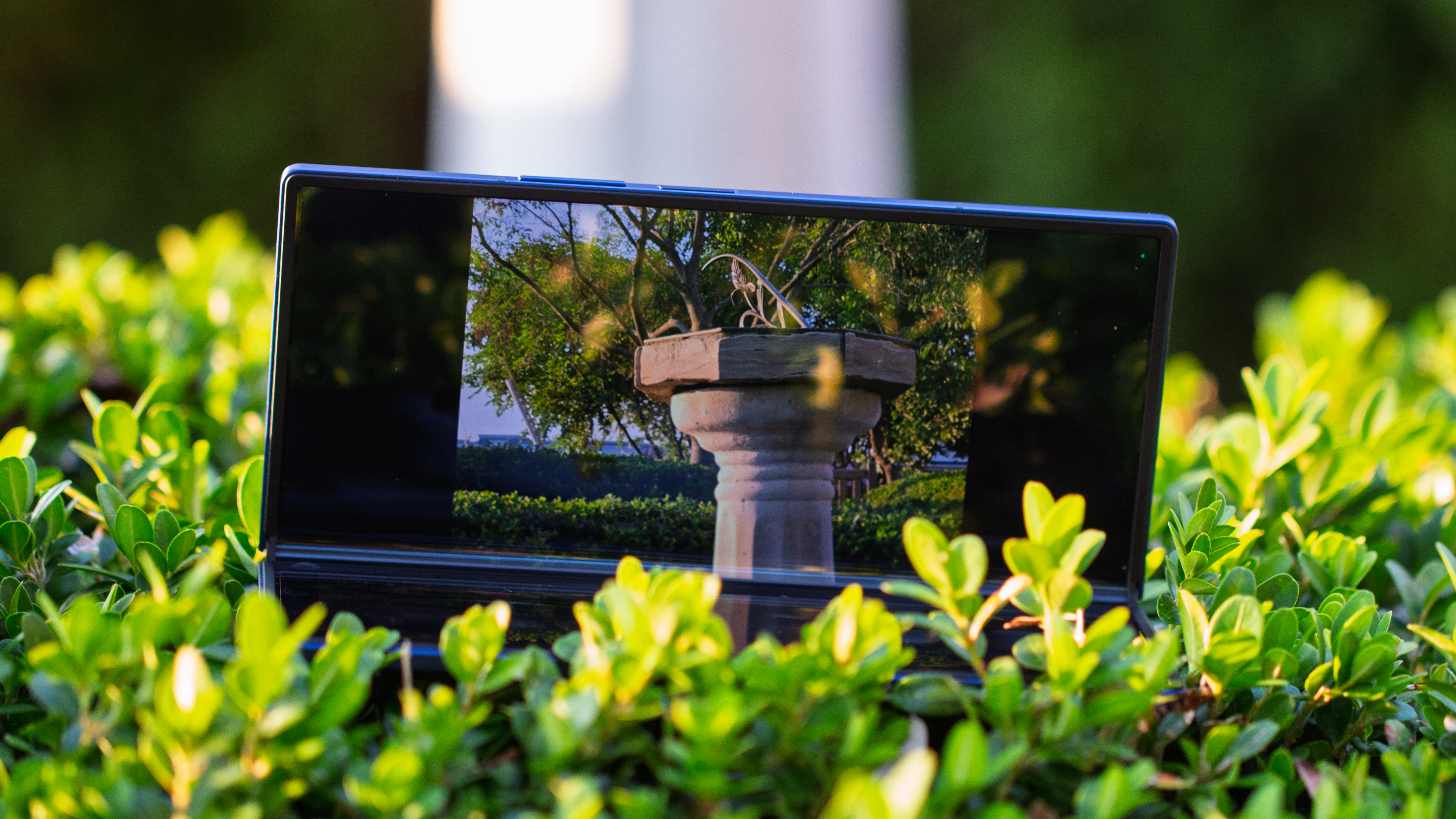 Samsung Galaxy Z Fold 7 picture through viewfinder