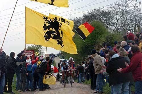 Plenty of Flandrian flags