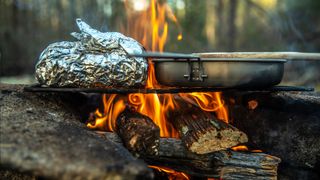 Campfire cooking over the coals in the wilderness,