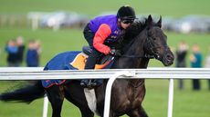 Bred by The Queen, racehorse Educator is now owned by The King and will continue to run in the royal colours