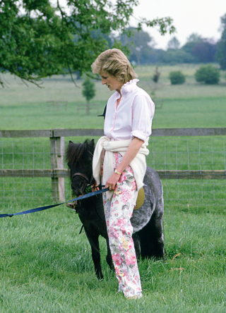 Prince Harry And Princess Diana In The Grounds At Highgrove With A Shetland Pony in 1986