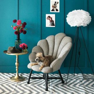 Graham and Green Ariel Shell Chair in Teal room with chevron carpet and dog sitting on chair