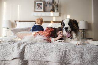 A St Bernard dog playing with two young children on an oversized mattress