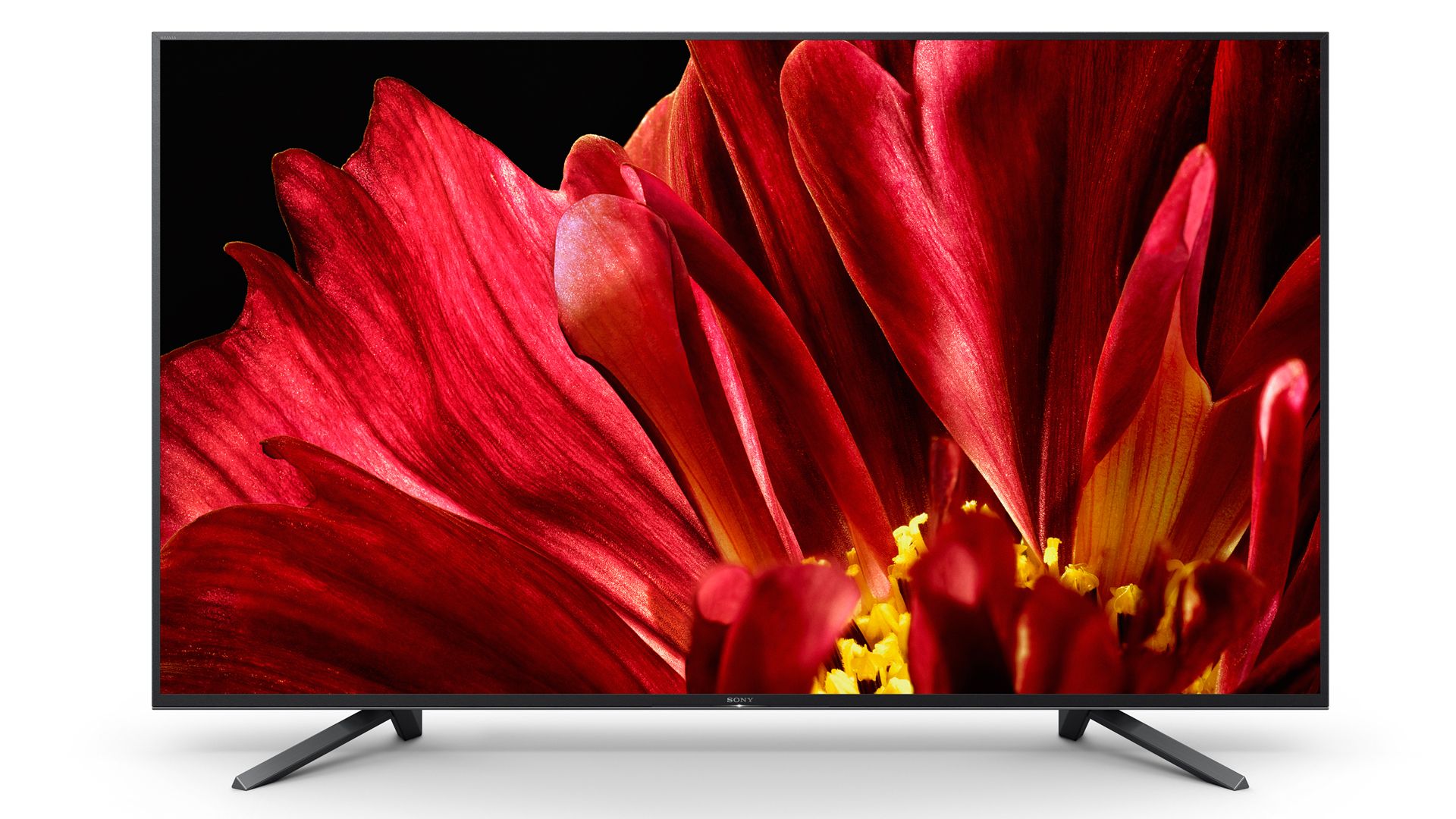 Sony ZF9 (KD-65ZF9) hands on review: price, release date and a