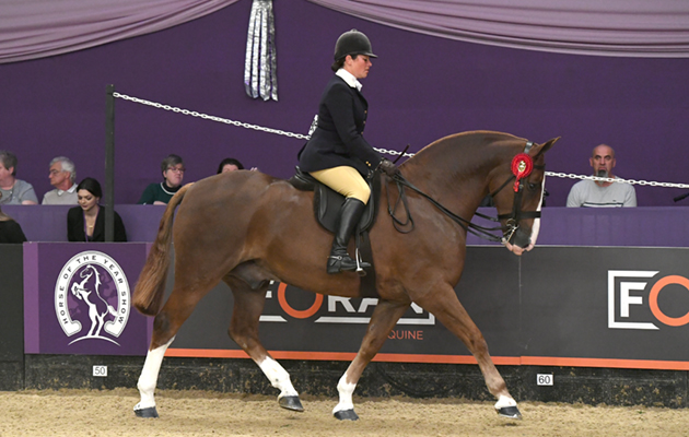 COBS_HOYS_PN18_185283_238274241_343813161.jpg