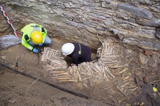 No Syndication for wall of bones photos.