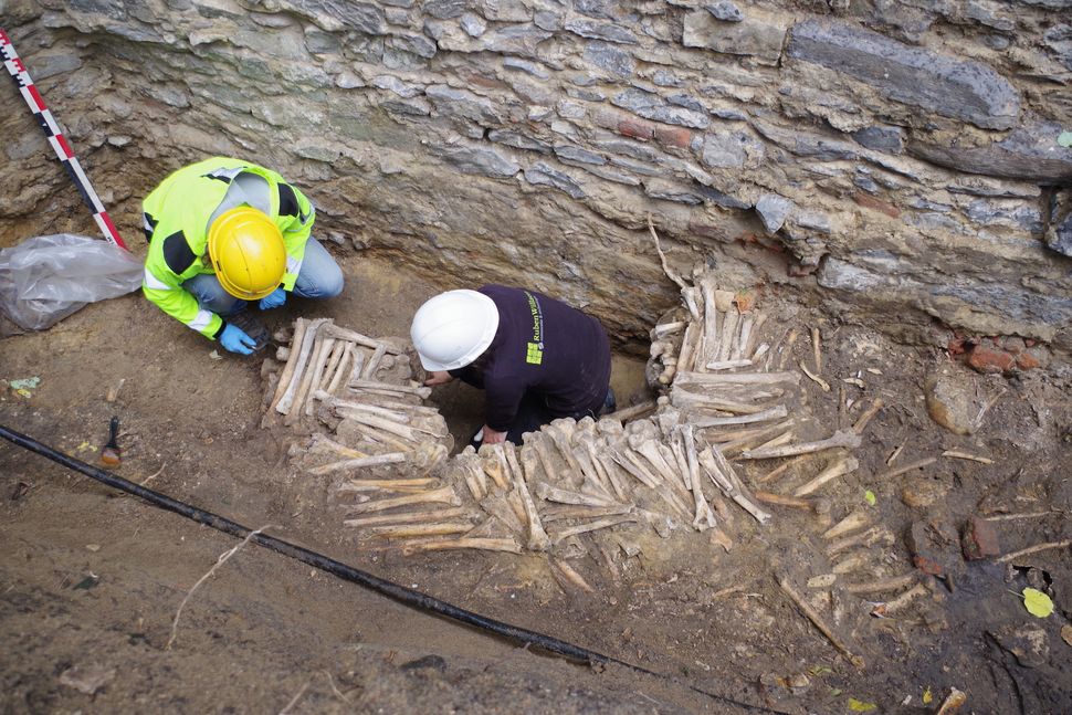 Bone walls made of human limbs and skulls discovered under church in Belgium