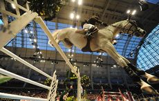 olympia horse show coach trip Get your Olympia Horse Show tickets to enjoy all the show has to offer olympia horse show parking