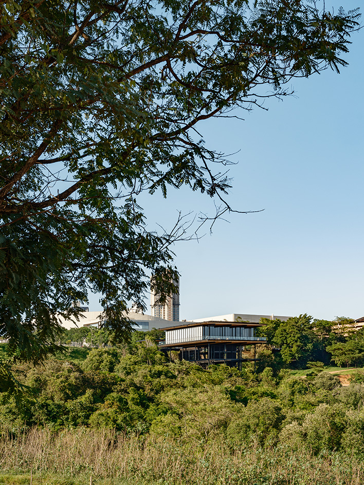 Casa Figueira, Sao Paulo, a light structure, floating above green tree canopies, a pavilion-like showroom