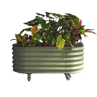 Cut out of Vego self-watering rolling planter in Olive Green