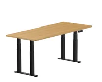 Flexispot E7 Plus Max Flexispot E7 Plus Max