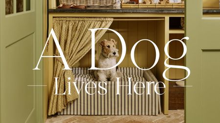 a terrier dog sitting inside a custom striped bed built into a yellow and green boot room nook with terracotta herringbone floor