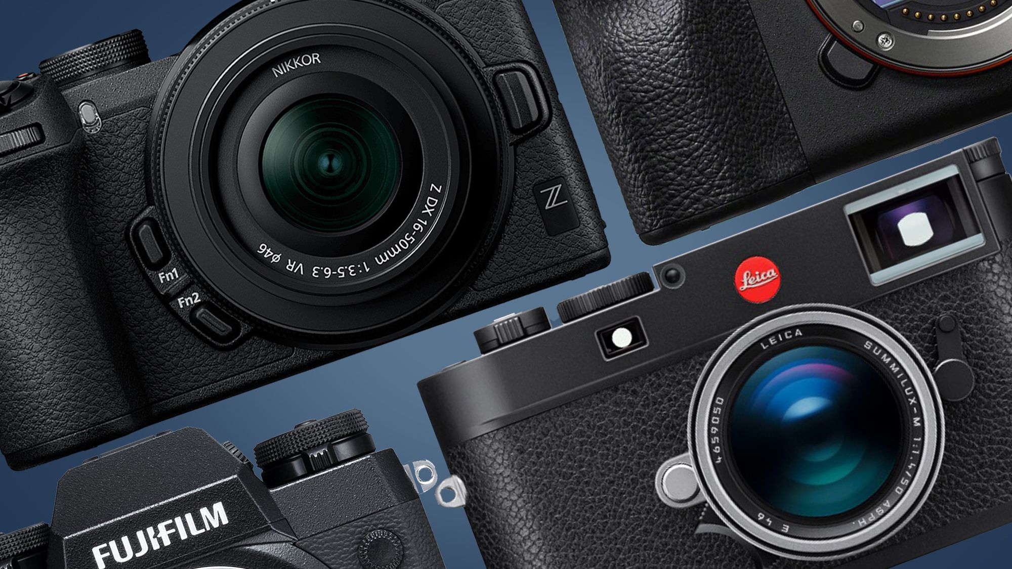 The 12 most exciting cameras of 2022: what's coming next from Canon ...