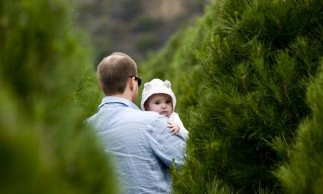 A family shops at an Orange County, Calif., Christmas tree farm: Americans are expected to spend 3.1 percent more on trees this year than they did in 2010.