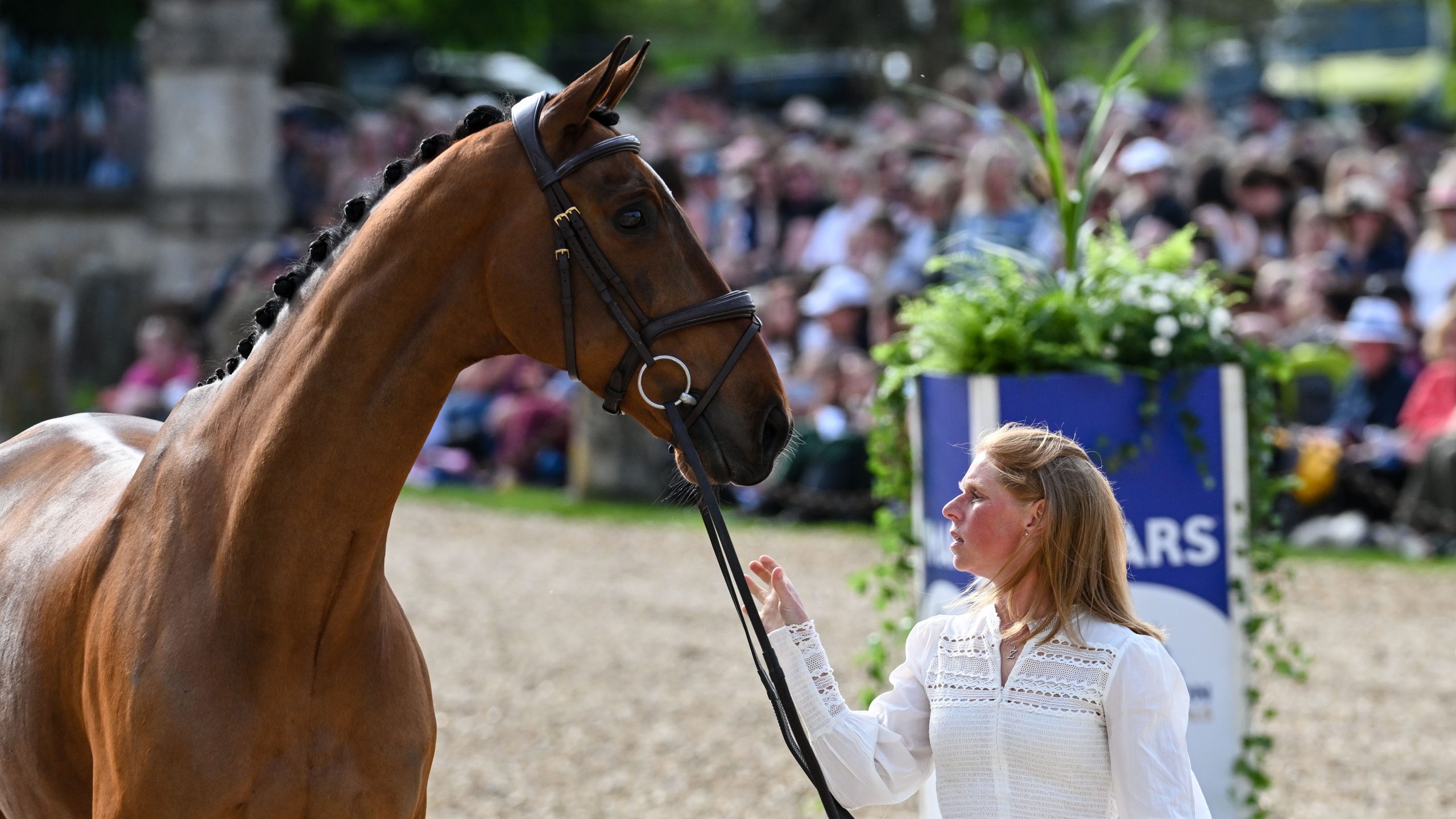 Badminton Horse Trials trot-up pictures Ros Canter and Izilot DHI