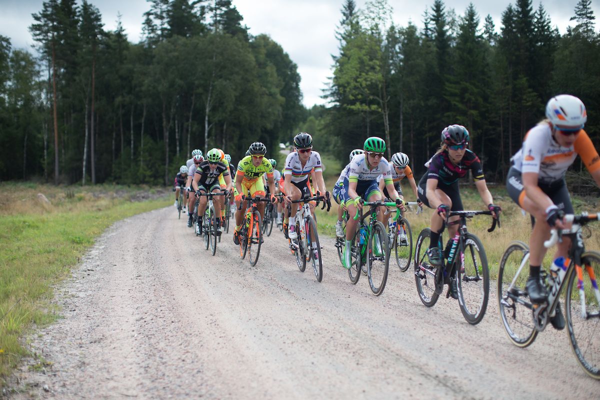 The field in action during the 141 km road race of the UCI Women's World Tour's 2016 Crescent V&aring;rg&aring;rda