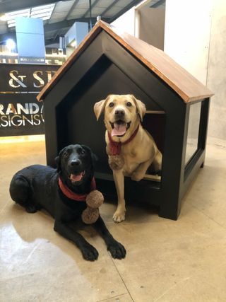 Built & Spaces luxury dog kennel