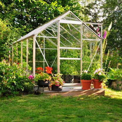 greenhouse in yard surrounded by flowers and lawn