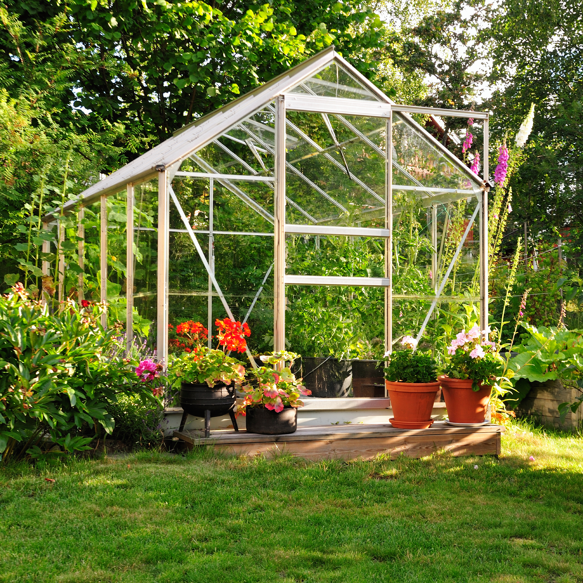 greenhouse in yard surrounded by flowers and lawn