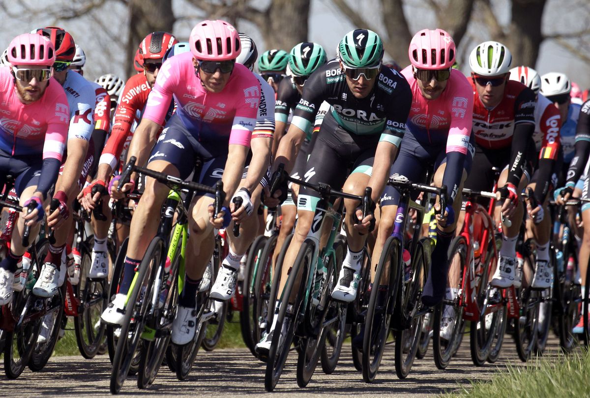 The 2019 Scheldeprijs