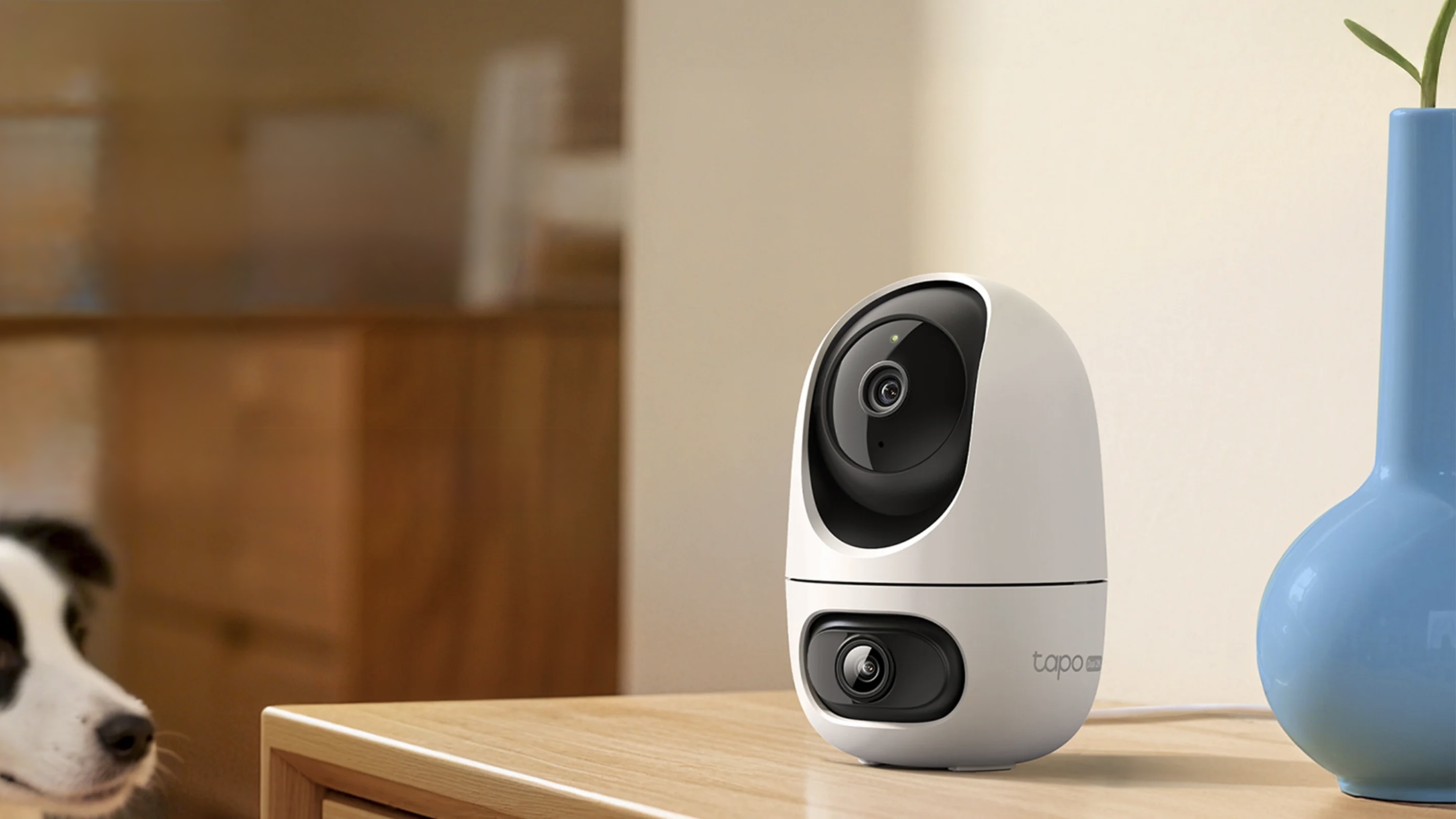Tapo C245D indoor security camera