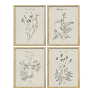 Set of four botanical prints in wooden frames