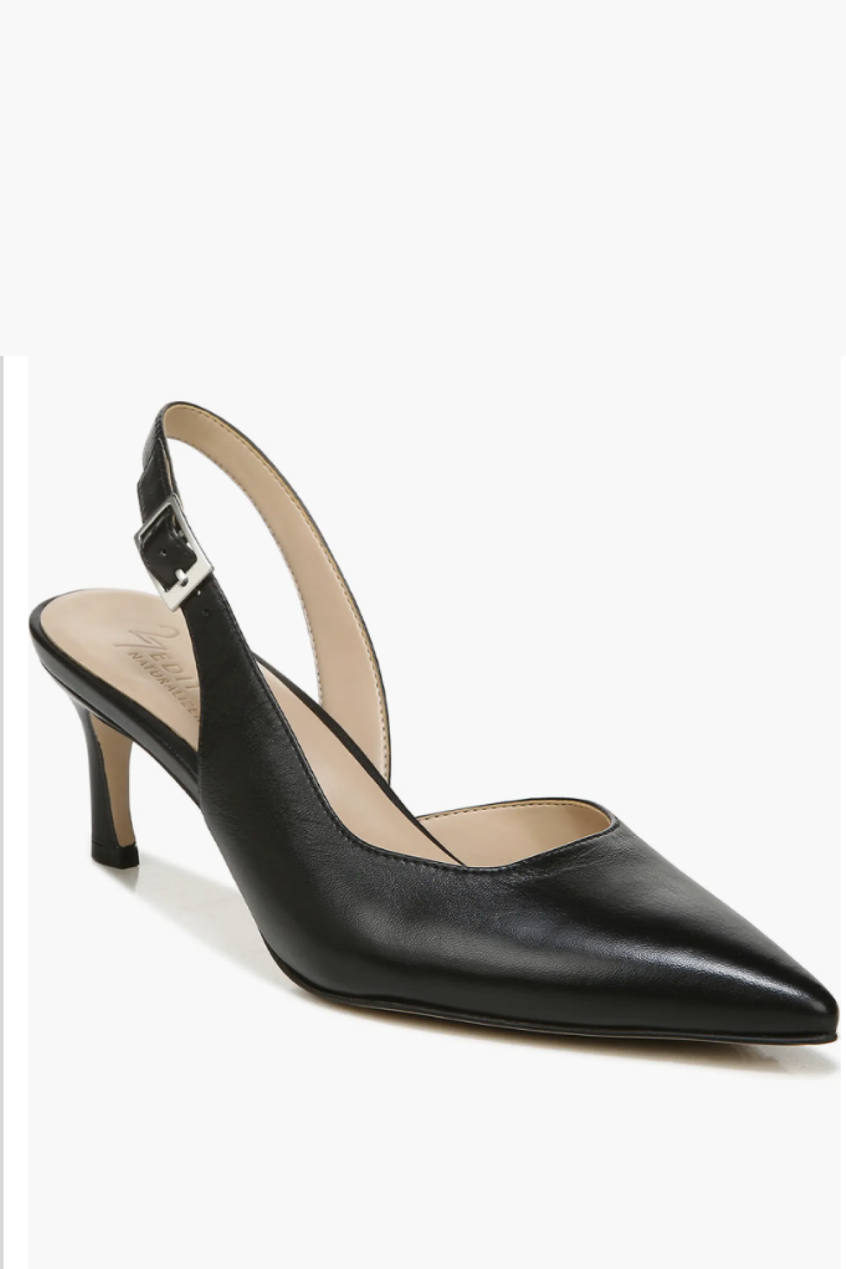 Felicia Slingback Pointed Toe Pump