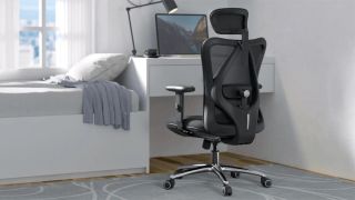 Sihoo M18 Ergonomic Office Chair (Gray)