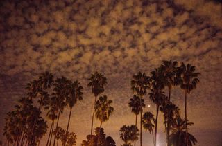 An eclipsed supermoon can be seen hanging in the sky behind blowing palm trees and a cloud-patched sky on Sept. 27, 2015, in Los Angeles, California.