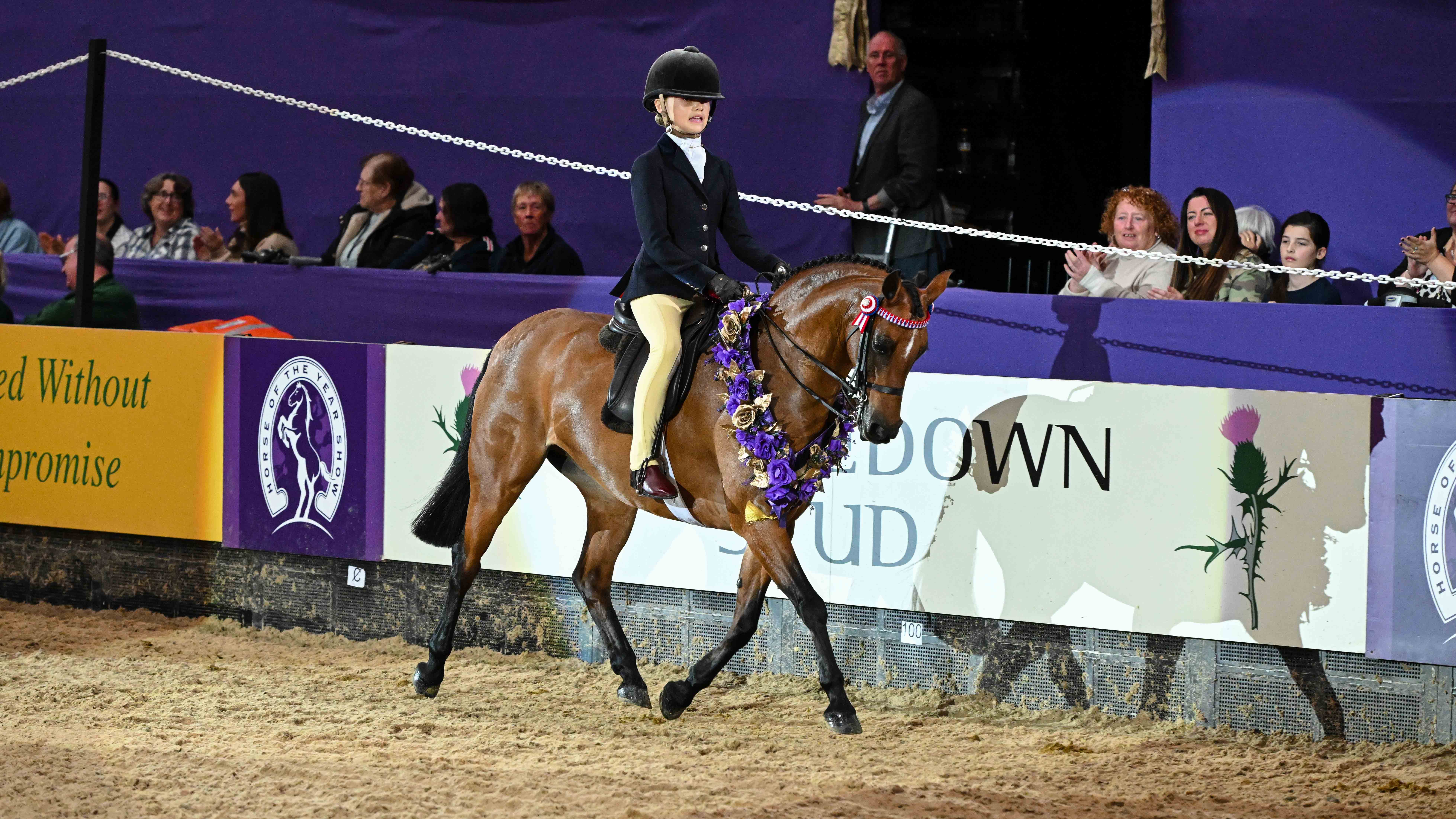 Ardenhall Blenheim