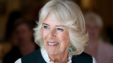 Queen Camilla at Hillsborough Castle on March 20, 2025 in Northern Ireland