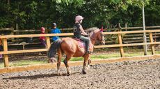 HAH00.lb_SummerFieldStock_PB.SummerFieldStock_189.jpg