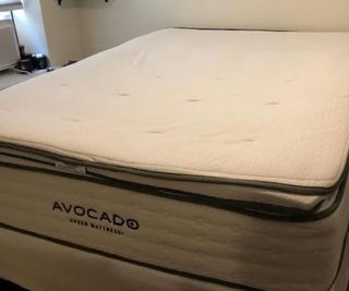 The Avocado Organic Latex Mattress Topper on an Avocado Mattress against a white wall.