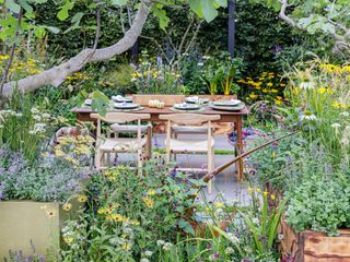 outdoor dining table with immersive planting