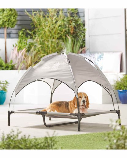 Aldi dog sun lounger