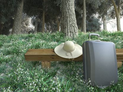 Hat And Suitcase In A Green Forest