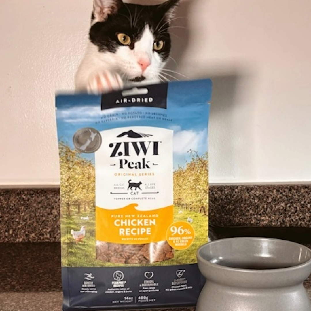 Diana's cat next to Ziwi dry cat food and bowl