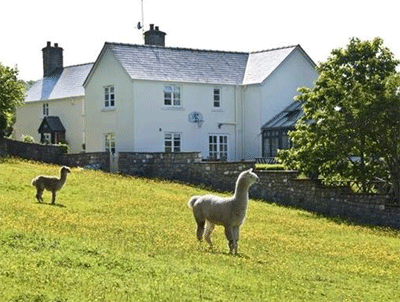 wales-house-for-sale