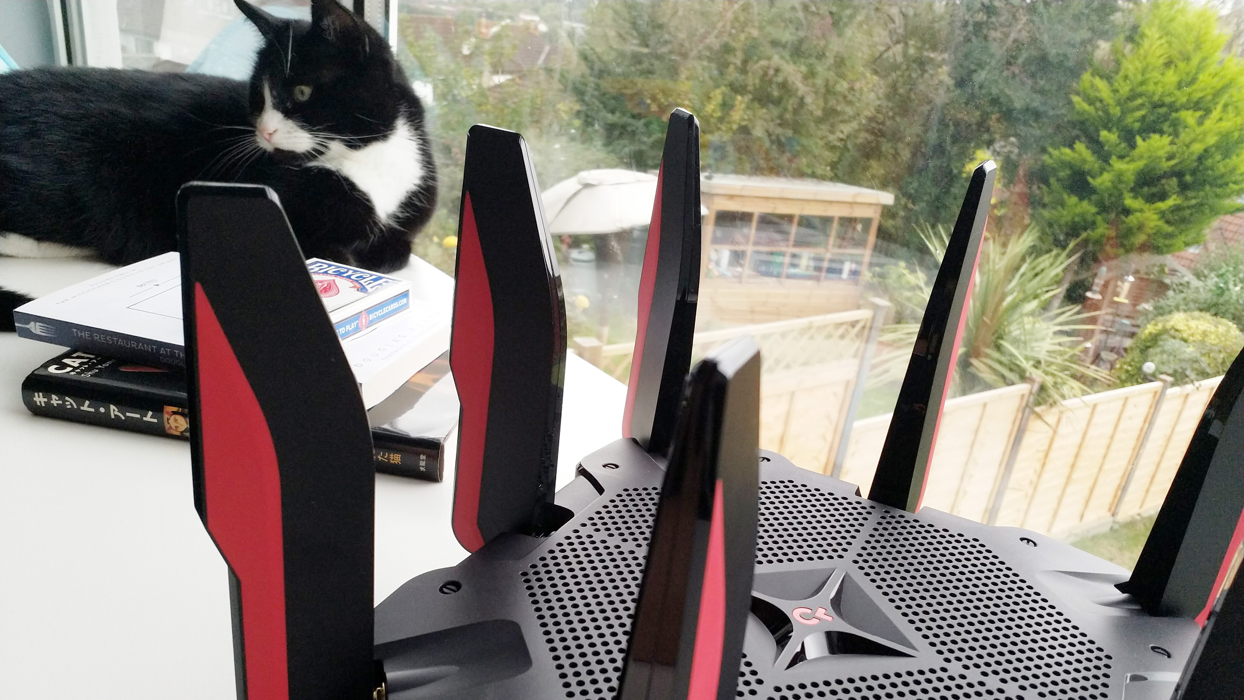 TP-Link Archer C5400X on a white desk next to a window and a cat