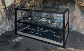 A replica of the famous fossilised bones