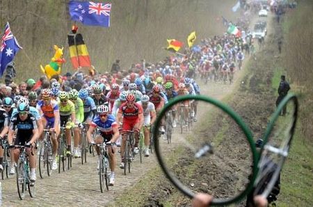 The peloton in full flight through the Arenberg forest pave sector.